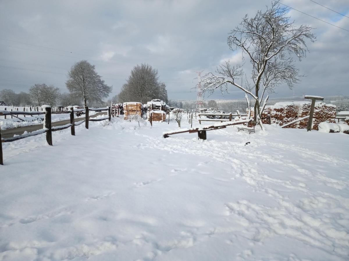 Gite Le Cheval Ardennais Gouvy ภายนอก รูปภาพ